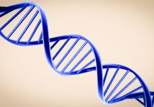 هوش مصنوعی گوگل دی ان ای را می‌خواند